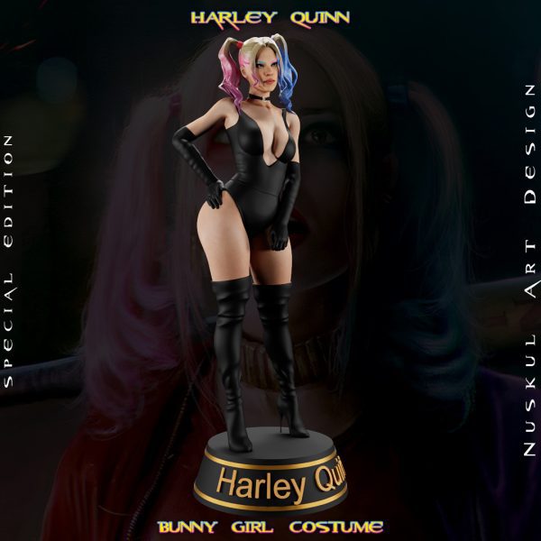 Harley Quinn, Bunny - Görsel 11
