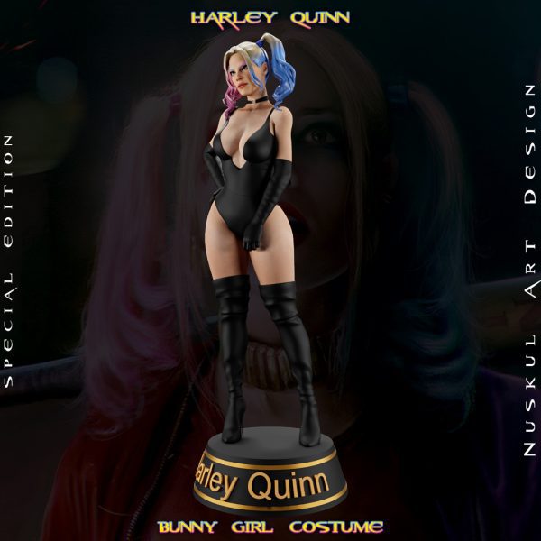 Harley Quinn, Bunny - Görsel 3