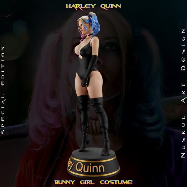 Harley Quinn, Bunny - Görsel 4