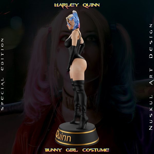 Harley Quinn, Bunny - Görsel 5