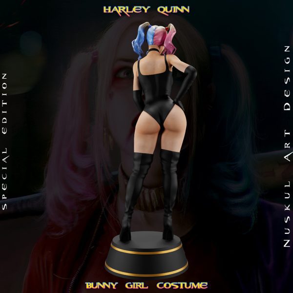 Harley Quinn, Bunny - Görsel 7