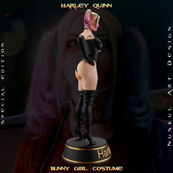 Harley Quinn, Bunny - Görsel 9